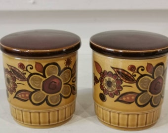 Mid century Royal Worcester Palissy Sienna Small Storage Jars Canisters X2