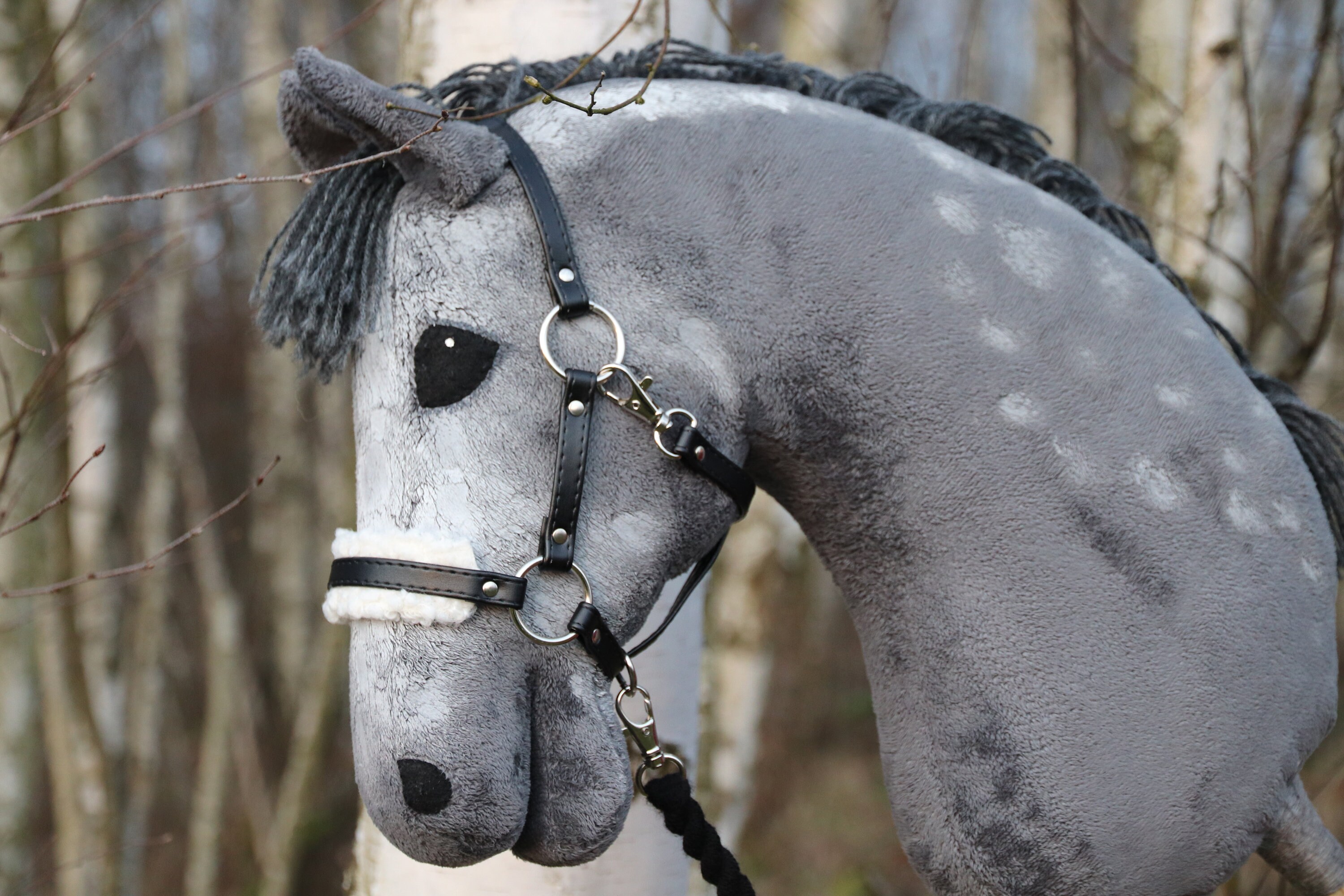 leather full horse size show halter  with lead.