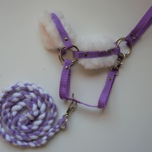 May include: Purple horse halter with a white fur noseband and a matching purple braided lead rope.