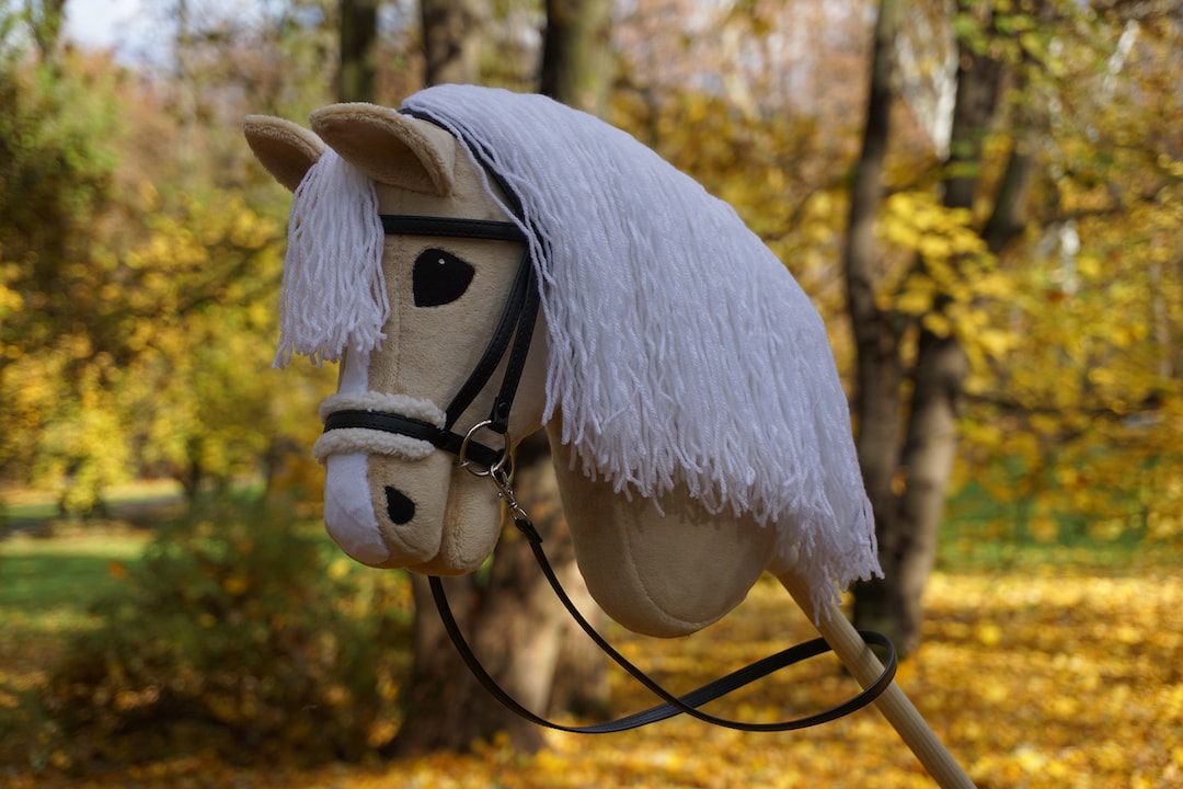 Portrait De Cheval De Fantaisie Photo stock - Image du conduite, foncé