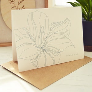 Tarjetas de agradecimiento Tiger Lily / Ilustradas a mano / Tarjetas de 4x5.5 pulgadas + Sobres de papel marrón