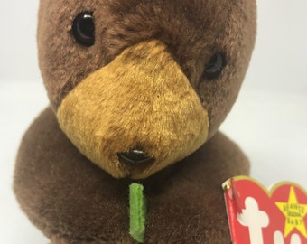 RARE TY Beanie Babies - 1996 - Seaweed, the Otter