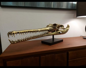 XXL, Extra Large polished bronze Gharial skull, (70 cm) crocodile sculpture made of real polished bronze, decorative figure, interior furnishings, NEW