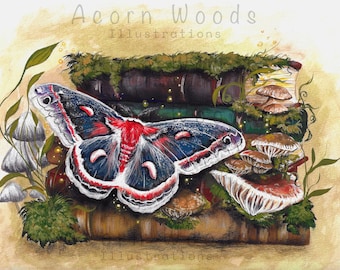Cecropia Moth and Books Art Print, Cottagecore Illustration, Rustic Books Pile Gouache Painting (8.5x11)