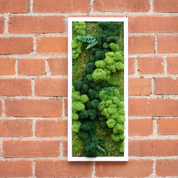 Moss Wall Art | natural art | indoor jungle | living art | Home decor | Gift | Plants | Green Wall