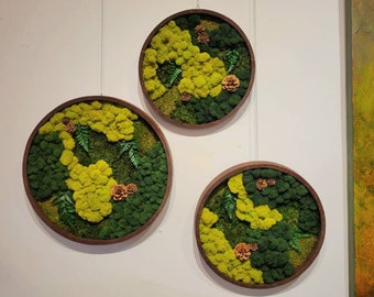 Circular moss art with ferns | woodland forest inspired with ferns pinecones for gift decor wall hanging