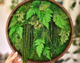 Vibrant real moss art wall hanging| gift plants | preserved natural home decor | circular frame ferns | indoor jungle | Boho Wall Art