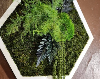 Hexagon Preserved Moss Wall Art | Jungle Green Boho Decor