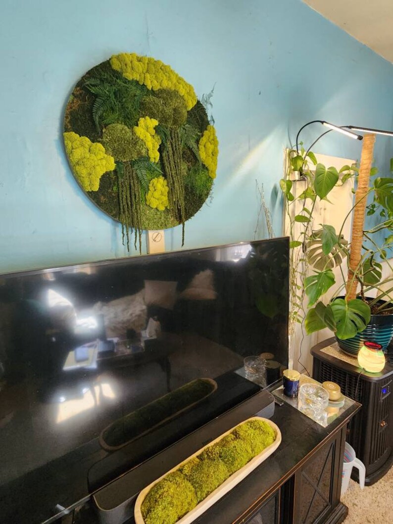 Circle Moss Wall Art Circular No Maintenance Real Plants Etsy