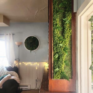 May include: A wooden frame with a preserved moss and fern wall art piece. The frame is mounted on a wooden cabinet.