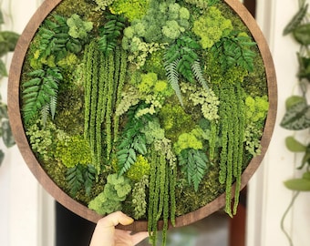 May include: A circular wall art piece featuring a dark brown wooden frame filled with a dense arrangement of preserved green moss, various fern fronds, and long, trailing green foliage in multiple shades of vibrant and deep forest green.