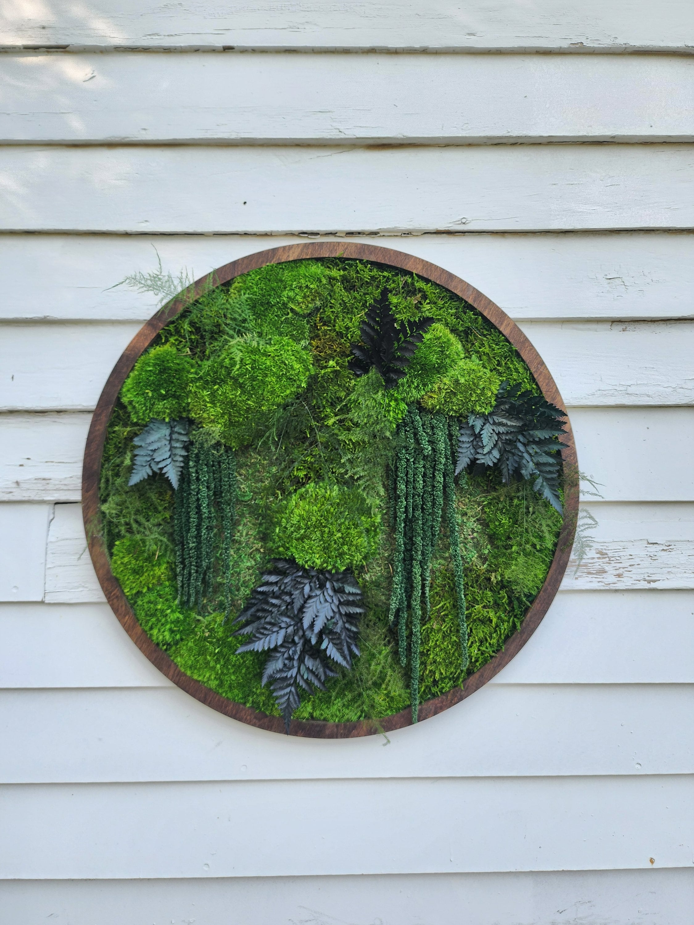 Circle Moss Wall Art Circular No Maintenance Real Plants Etsy
