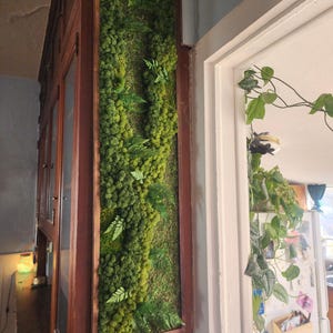 May include: A framed vertical moss wall art piece with a variety of green moss and ferns. The piece is mounted on a wooden wall.