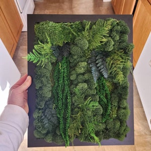May include: A framed moss wall art piece featuring a variety of green moss and ferns. The moss is arranged in a natural, organic pattern, creating a lush and textured look. The frame is black and adds a modern touch to the piece.