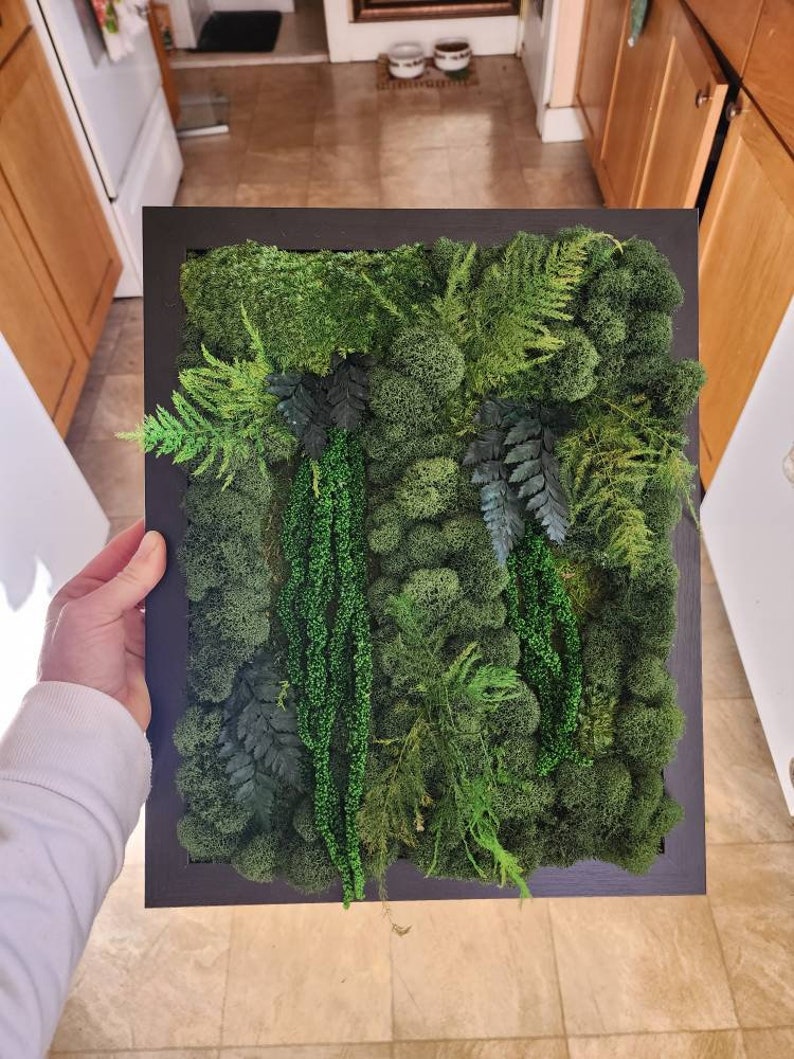 May include: A framed moss wall art piece featuring a variety of green moss and ferns. The moss is arranged in a natural, organic pattern, creating a lush and textured look. The frame is black and adds a modern touch to the piece.