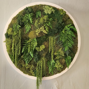 Circle Moss Wall Art | Real preserved plants, ferns | Natural Green Boho Home Decor Gift