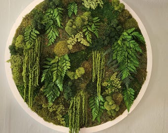 Circle Moss Wall Art | Real preserved plants, ferns | Natural Green Boho Home Decor Gift