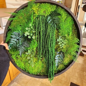 Real moss art wall hanging| gift decor plants| preserved natural living | circular frame ferns | circle green indoor jungle | Boho Wall Art