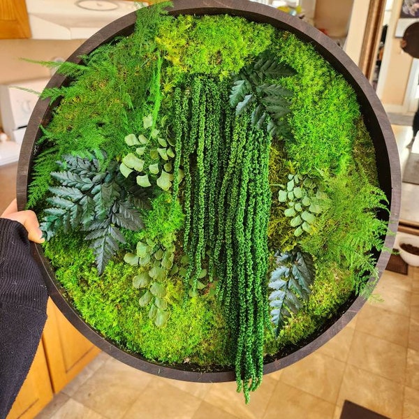 Real moss art wall hanging| gift plants | preserved natural home decor | circular frame ferns | circle green indoor jungle | Boho Wall Art