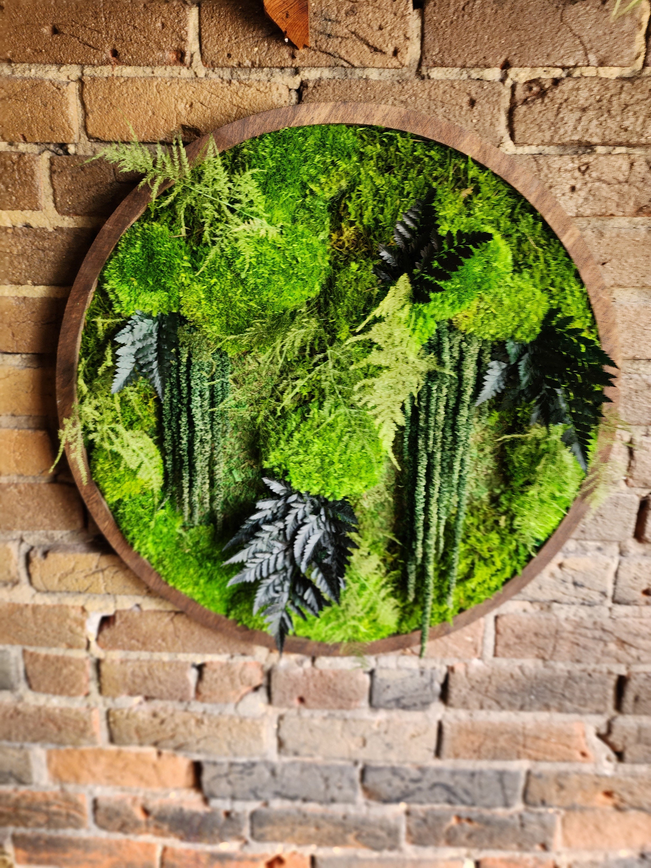 Circle Moss Wall Art Circular No Maintenance Real Plants Etsy