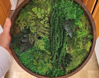 Real moss art wall hanging| gift decor plants| preserved natural living | circular frame ferns | circle green indoor jungle boho wall art
