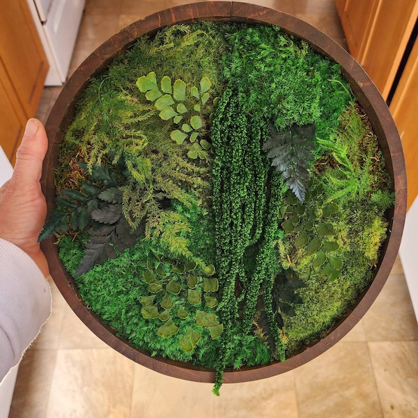 Living Moss Wall Art - Etsy