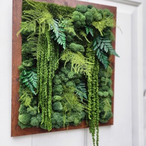 Real moss art wall hanging| gift decor plants| preserved natural living wall | rectangular frame | ferns | nature | wall art | Boho wall art image 3
