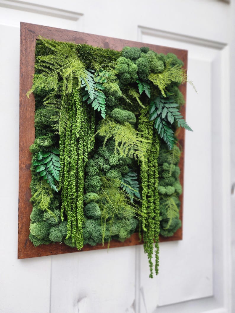 Real moss art wall hanging| gift decor plants| preserved natural living wall | rectangular frame | ferns | nature | wall art | Boho wall art image 3