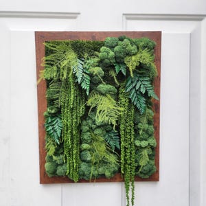 Real moss art wall hanging| gift decor plants| preserved natural living wall | rectangular frame | ferns | nature | wall art | Boho wall art image 2