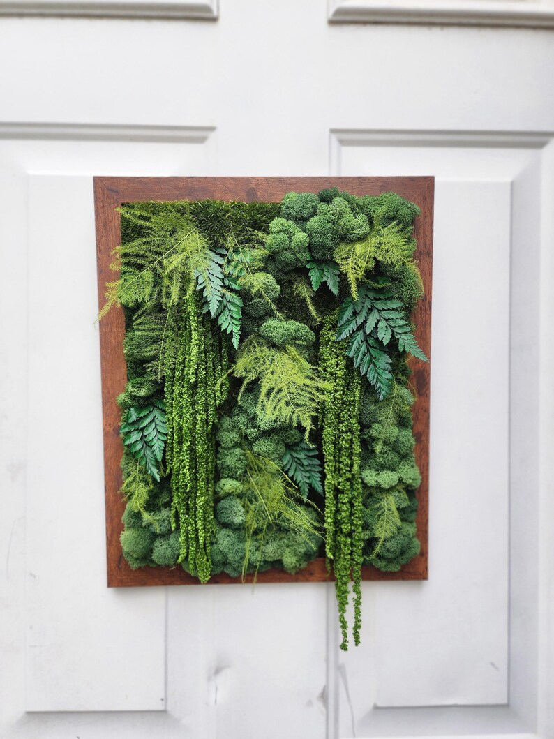 Real moss art wall hanging| gift decor plants| preserved natural living wall | rectangular frame | ferns | nature | wall art | Boho wall art image 2