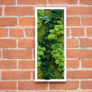 May include: A white framed wall art piece featuring preserved moss in shades of green. The moss is arranged in a natural, organic pattern, creating a textured and visually appealing piece.