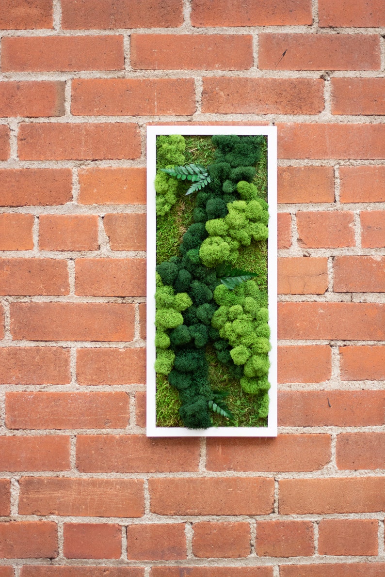 May include: A white framed wall art piece featuring preserved moss in shades of green. The moss is arranged in a natural, organic pattern, creating a textured and visually appealing piece.