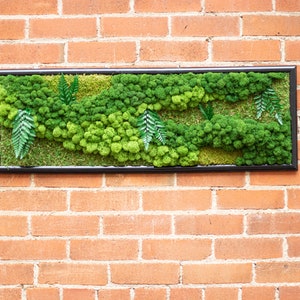 May include: A framed moss wall art piece with a black frame. The moss is arranged in a flowing pattern with different shades of green.