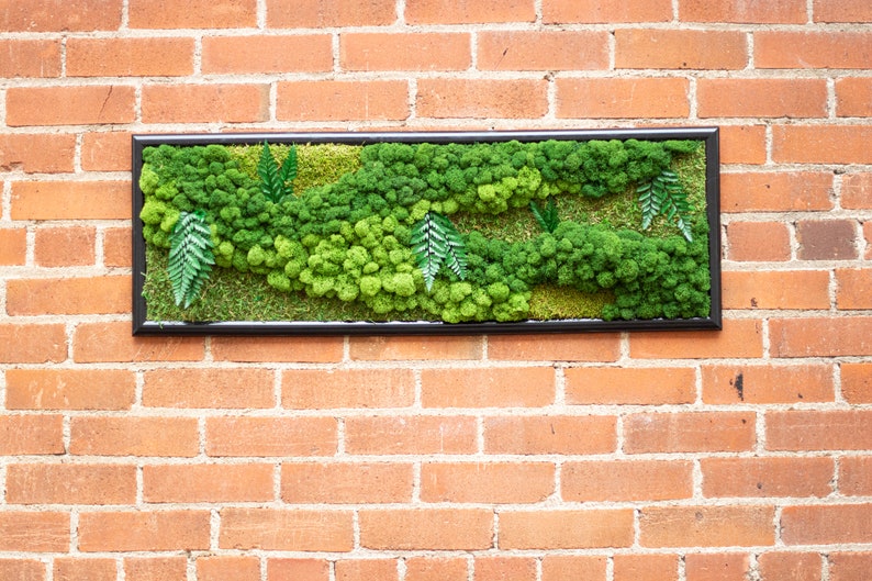 May include: A framed moss wall art piece with a black frame. The moss is arranged in a flowing pattern with different shades of green.