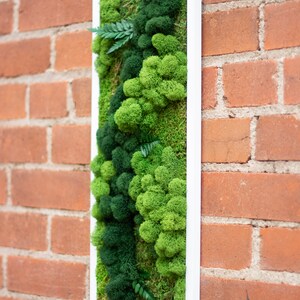 May include: A framed moss wall art piece with a white frame. The moss is a variety of green shades and textures, with a few small fern-like plants.