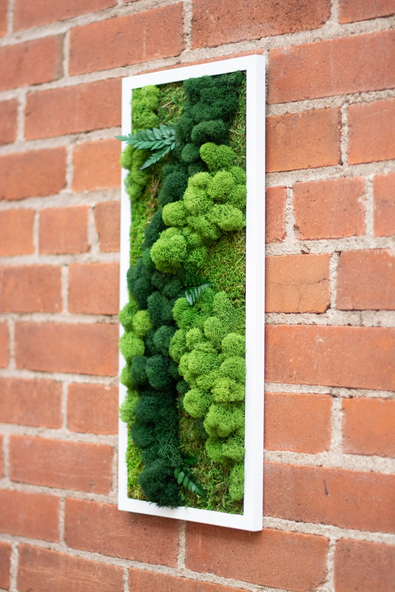 May include: A framed moss wall art piece with a white frame. The moss is a variety of green shades and textures, with a few small fern-like plants.