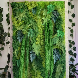 May include: A framed moss wall art piece featuring a variety of green moss and ferns. The moss is arranged in a natural, organic pattern, creating a lush and textured look. The frame is a light wood colour.