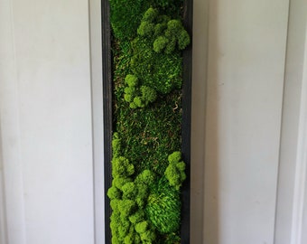 Moss Wall Art | natural art | indoor jungle | living art | boho Home decor | Gift | Plants | Green Wall