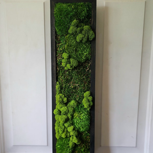 Moss Wall Art | natural art | indoor jungle | living art | boho Home decor | Gift | Plants | Green Wall