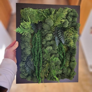 May include: A framed moss wall art piece featuring a variety of green moss and ferns. The moss is arranged in a natural, organic pattern, creating a lush and textured look.