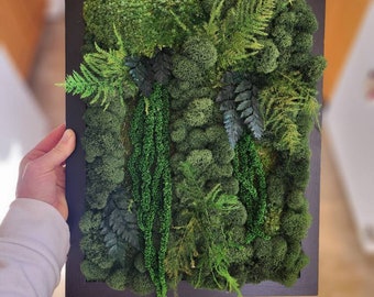 Real moss art wall hanging| gift decor plants| preserved natural living wall | rectangular frame | ferns | nature | wall art | Boho wall art