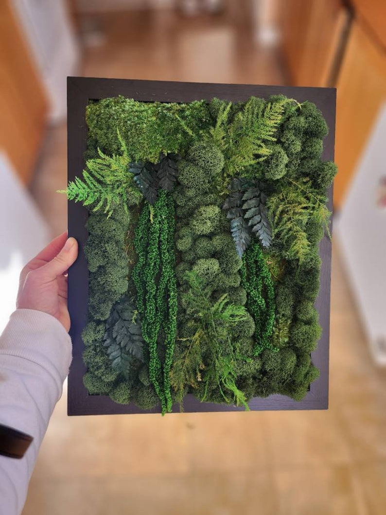 May include: A framed moss wall art piece featuring a variety of green moss and ferns. The moss is arranged in a natural, organic pattern, creating a lush and textured look.