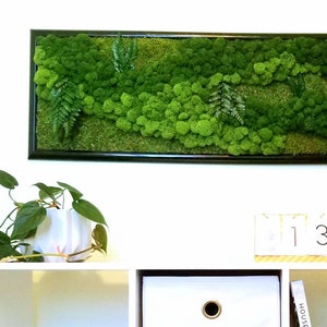 May include: A framed moss wall art piece with a black frame and a green moss design. The moss is arranged in a flowing pattern with some small ferns. The art piece is hanging on a white wall above a white shelf with a potted plant, a white box, and a gold decorative object.