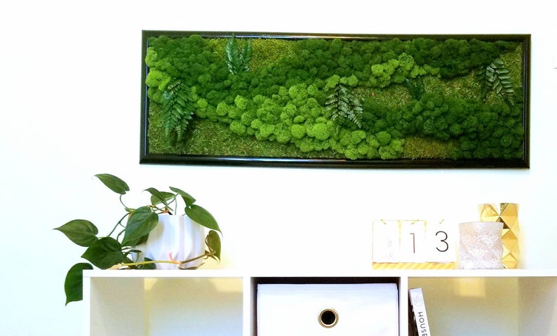 May include: A framed moss wall art piece with a black frame and a green moss design. The moss is arranged in a flowing pattern with some small ferns. The art piece is hanging on a white wall above a white shelf with a potted plant, a white box, and a gold decorative object.