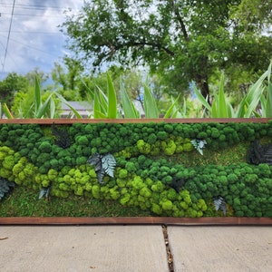 May include: A rectangular framed moss wall art piece with a variety of green moss and preserved ferns. The moss wall art is displayed on a concrete surface.