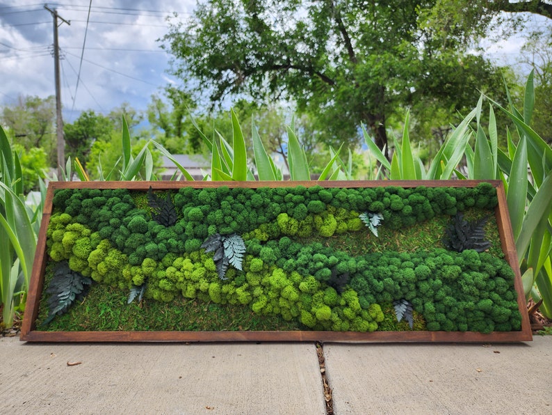 May include: A rectangular framed moss wall art piece with a variety of green moss and preserved ferns. The moss wall art is displayed on a concrete surface.