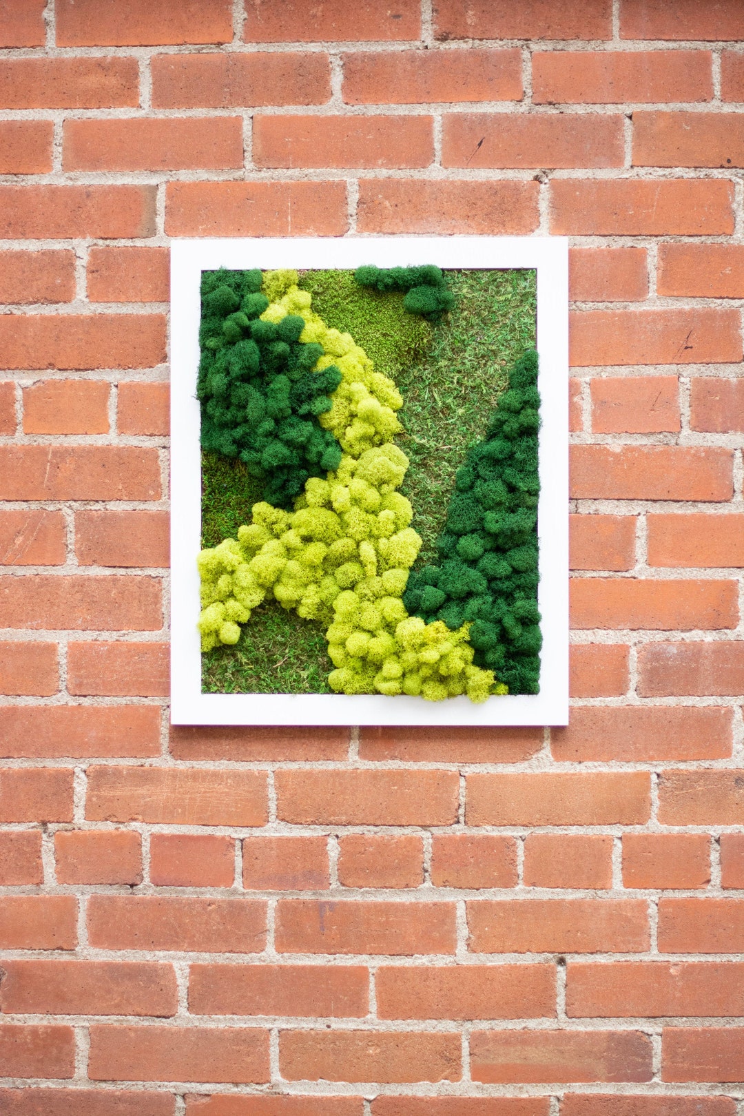 Moss Wall Art, Natural Art, Plants, Green Decor, Boho Art, Nature