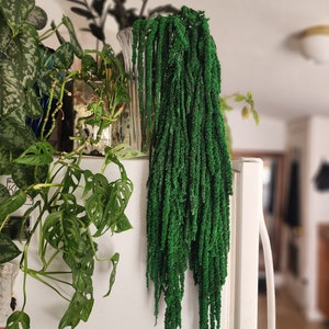 Könnte beinhalten: Ein grüner Trockenblumenstrauß in einer klaren Glasvase. Die Vase steht auf einer weißen Oberfläche. Der Blumenstrauß hängt herunter und ist sehr lang.