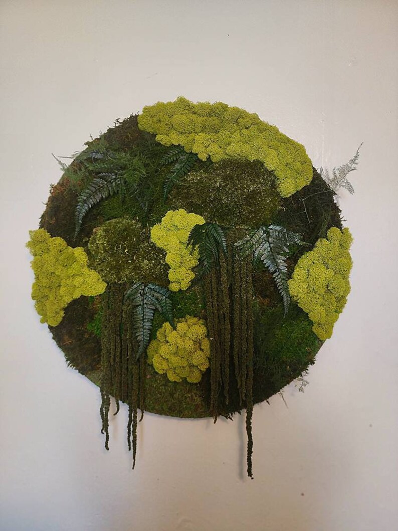 Circle Moss Wall Art Circular No Maintenance Real Plants Etsy