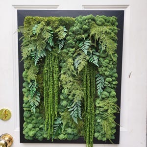 Real moss art wall hanging| gift decor plants| preserved natural living wall | rectangular frame | ferns | nature | wall art | Boho wall art